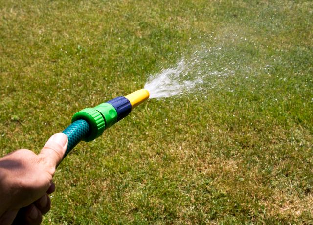FlowFlex Garden Hose