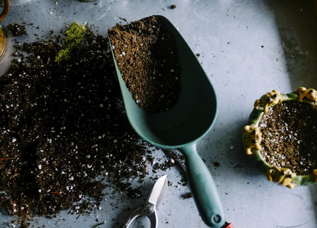 RichRoot Potting Mix