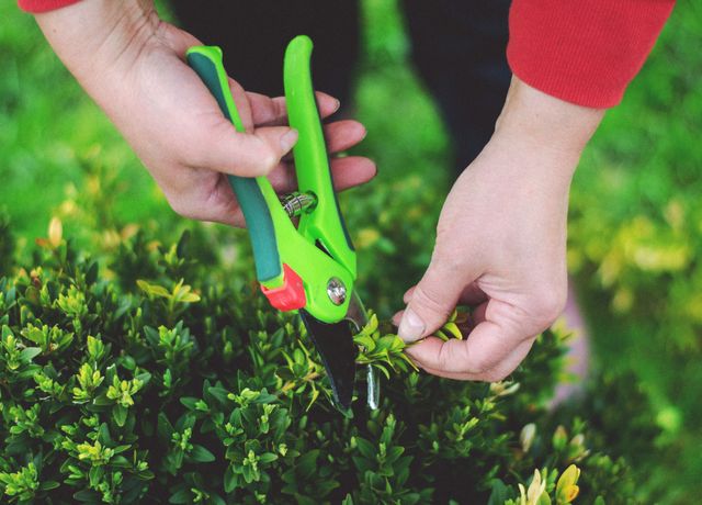 TrimRight Pruning Shears