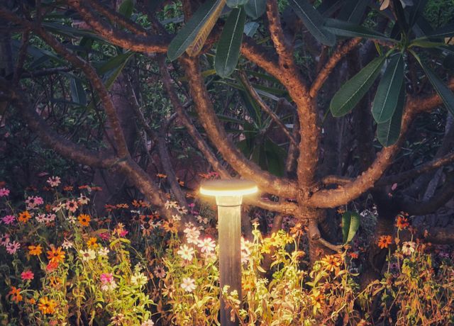SolarGlow Path Lights