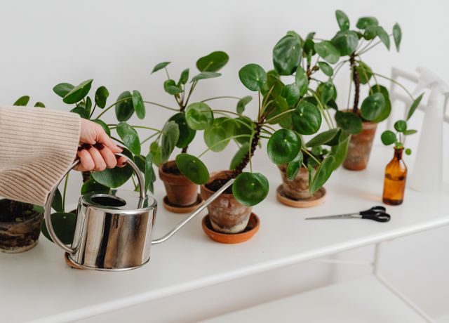 RainCatch Watering Can